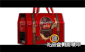 C3/C7 侧喷可变数据喷印系统手艺参数Technical Parameters