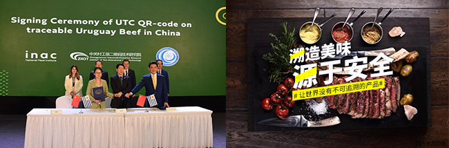 跨境追溯时代已来临